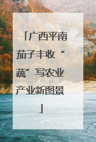广西平南茄子丰收“蔬”写农业产业新图景