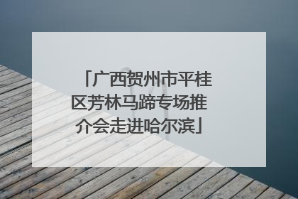 广西贺州市平桂区芳林马蹄专场推介会走进哈尔滨
