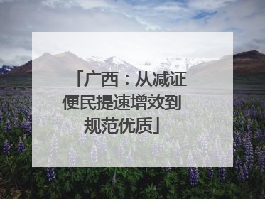 广西：从减证便民提速增效到规范优质