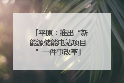 平原：推出“新能源储能电站项目”一件事改革