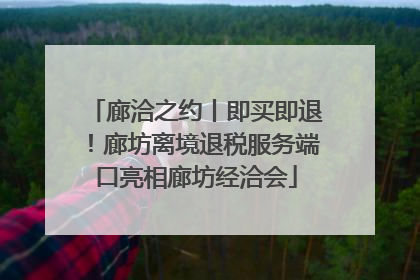 廊洽之约丨即买即退！廊坊离境退税服务端口亮相廊坊经洽会