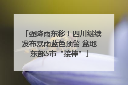 强降雨东移！四川继续发布暴雨蓝色预警 盆地东部5市“接棒”