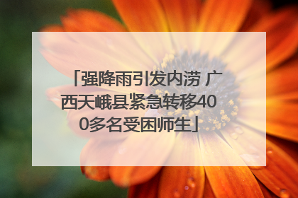 强降雨引发内涝 广西天峨县紧急转移400多名受困师生