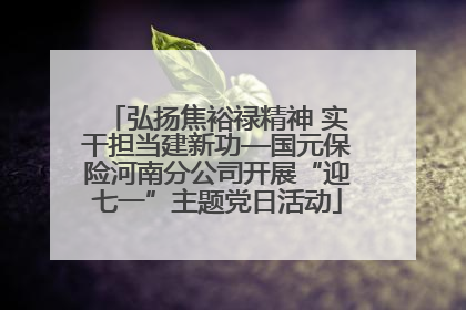 弘扬焦裕禄精神 实干担当建新功—国元保险河南分公司开展“迎七一”主题党日活动