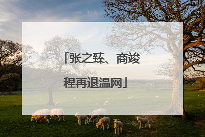 张之臻、商竣程再退温网