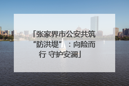 张家界市公安共筑“防洪堤”：向险而行 守护安澜