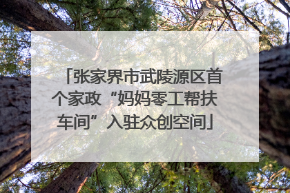 张家界市武陵源区首个家政“妈妈零工帮扶车间”入驻众创空间