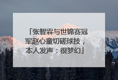 张智霖与世锦赛冠军赵心童切磋球技，本人发声：很梦幻
