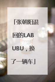 张朝阳退回的LABUBU，换了一辆车