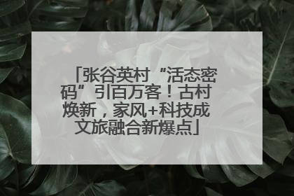 张谷英村“活态密码”引百万客！古村焕新，家风+科技成文旅融合新爆点