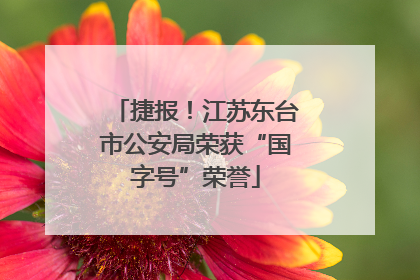 捷报！江苏东台市公安局荣获“国字号”荣誉