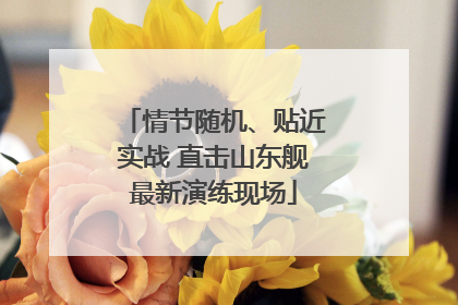情节随机、贴近实战 直击山东舰最新演练现场