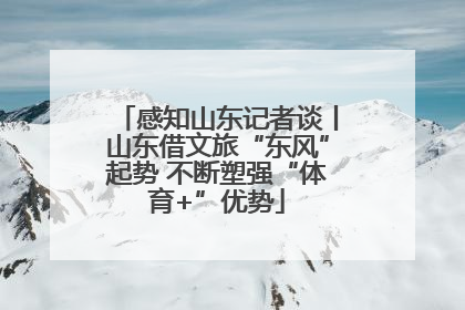 感知山东记者谈丨山东借文旅“东风”起势 不断塑强“体育+”优势