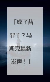 成了替罪羊？马斯克最新发声！