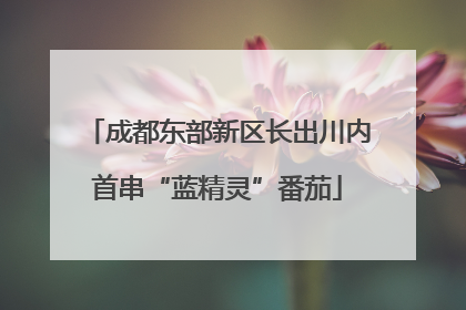 成都东部新区长出川内首串“蓝精灵”番茄