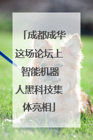 成都成华这场论坛上 智能机器人黑科技集体亮相