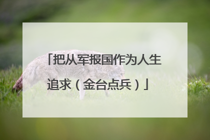 把从军报国作为人生追求（金台点兵）