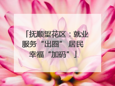 抚顺望花区：就业服务“出圈” 居民幸福“加码”