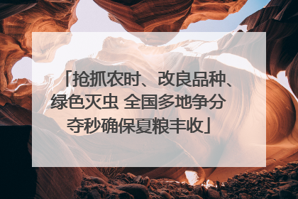 抢抓农时、改良品种、绿色灭虫 全国多地争分夺秒确保夏粮丰收