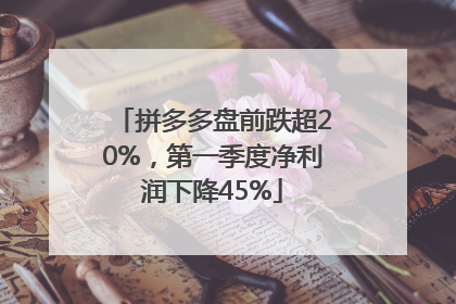 拼多多盘前跌超20%，第一季度净利润下降45%