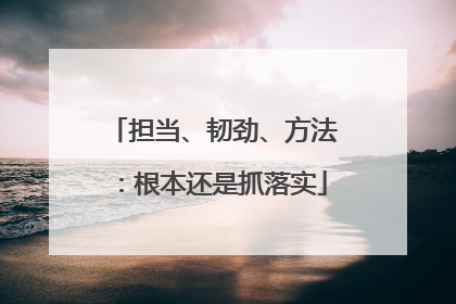 担当、韧劲、方法：根本还是抓落实