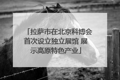 拉萨市在北京科博会首次设立独立展馆 展示高原特色产业