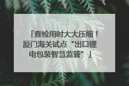 查检用时大大压缩！厦门海关试点“出口锂电包装智慧监管”