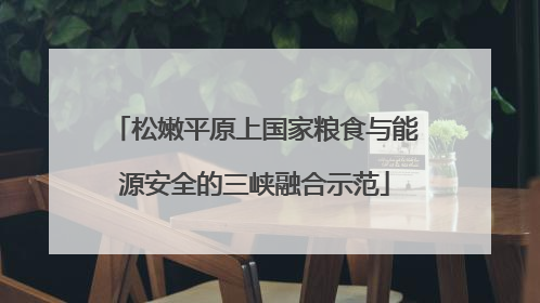 松嫩平原上国家粮食与能源安全的三峡融合示范