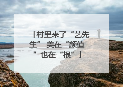 村里来了“艺先生” 美在“颜值”也在“根”