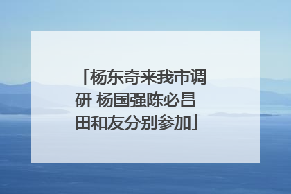 杨东奇来我市调研 杨国强陈必昌田和友分别参加