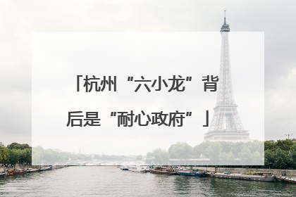 杭州“六小龙”背后是“耐心政府”