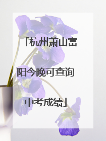 杭州萧山富阳今晚可查询中考成绩