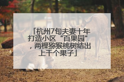 杭州7旬夫妻十年打造小区“百果园”，两棵猕猴桃树结出上千个果子