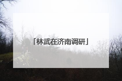 林武在济南调研