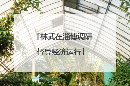 林武在淄博调研督导经济运行