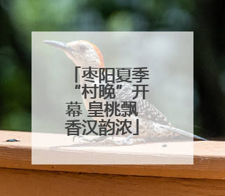 枣阳夏季“村晚”开幕 皇桃飘香汉韵浓
