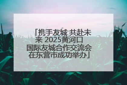 携手友城 共赴未来 2025黄河口国际友城合作交流会在东营市成功举办