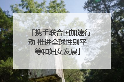 携手联合国加速行动 推进全球性别平等和妇女发展