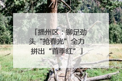 播州区：铆足劲头“抢春光”全力拼出“首季红”