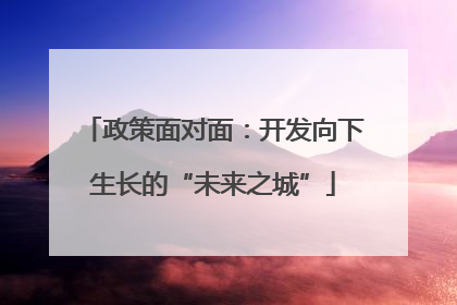 政策面对面：开发向下生长的“未来之城”