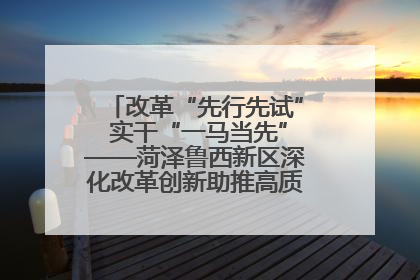 改革“先行先试” 实干“一马当先”——菏泽鲁西新区深化改革创新助推高质量发展纪实
