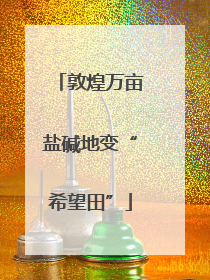 敦煌万亩盐碱地变“希望田”