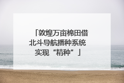 敦煌万亩棉田借北斗导航播种系统实现“精种”