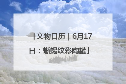 文物日历｜6月17日：蜥蜴纹彩陶罐