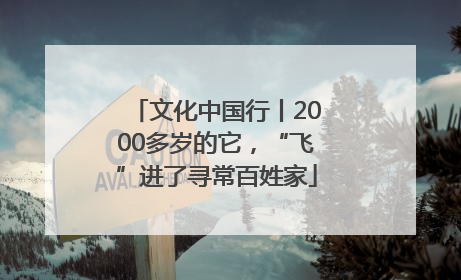 文化中国行丨2000多岁的它，“飞”进了寻常百姓家