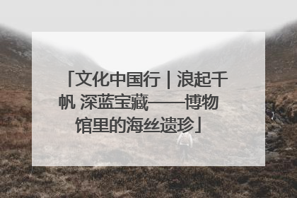 文化中国行｜浪起千帆 深蓝宝藏——博物馆里的海丝遗珍