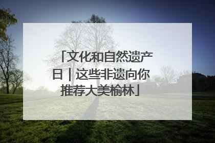 文化和自然遗产日｜这些非遗向你推荐大美榆林