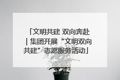 文明共建 双向奔赴｜集团开展“文明双向共建”志愿服务活动