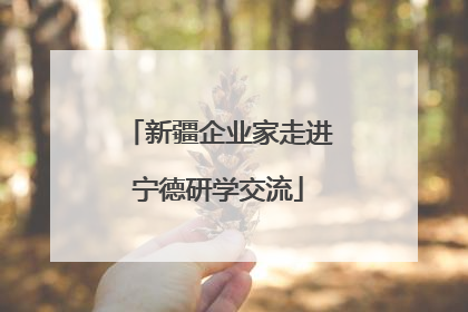 新疆企业家走进宁德研学交流