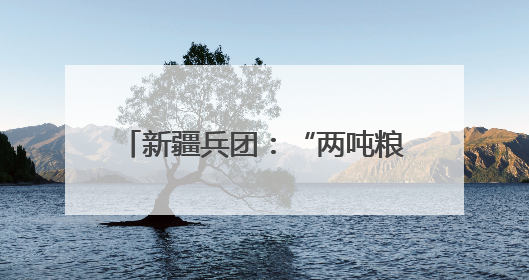 新疆兵团：“两吨粮田”示范田创高产